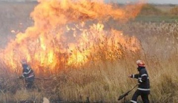 Incendiu în Cimitirul Turcesc din Topraisar